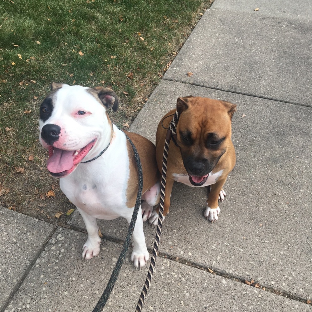 Meet your Posher, Kerry